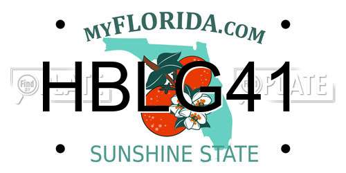 HBLG41 Florida License Plate