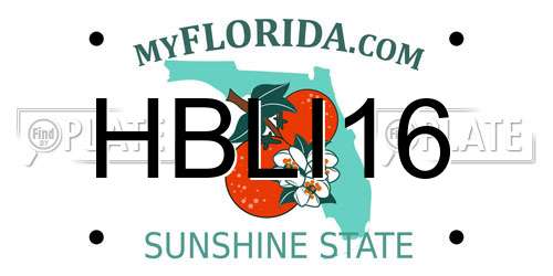 HBLI16 Florida License Plate