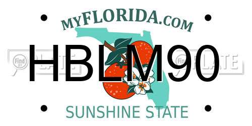 HBLM90 Florida License Plate