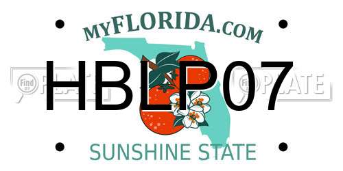 HBLP07 Florida License Plate