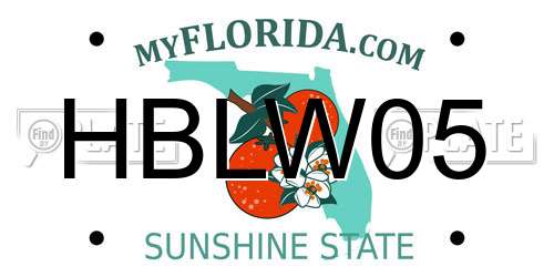 HBLW05 Florida License Plate