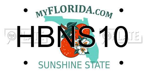 HBNS10 Florida License Plate