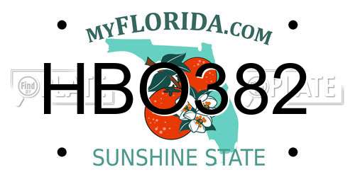 HBO382 Florida License Plate