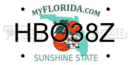 HBO38Z Florida License Plate