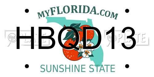 HBQD13 Florida License Plate
