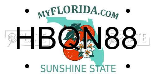 HBQN88 Florida License Plate