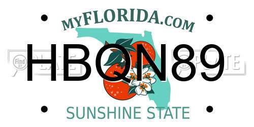 HBQN89 Florida License Plate