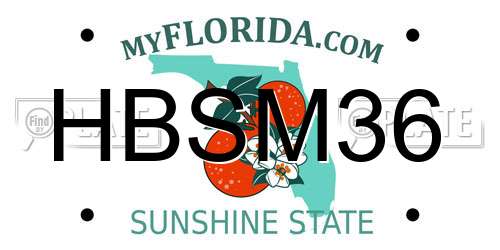 HBSM36 Florida License Plate