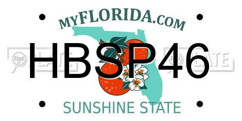 HBSP46 Florida License Plate