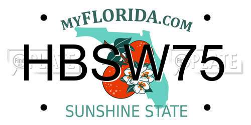 HBSW75 Florida License Plate