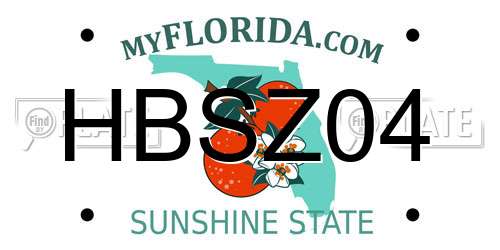 HBSZ04 Florida License Plate