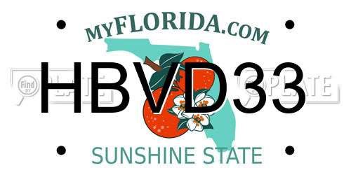 HBVD33 Florida License Plate