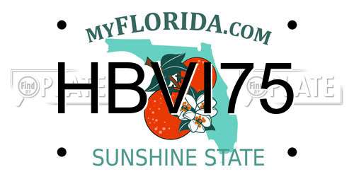 HBVI75 Florida License Plate