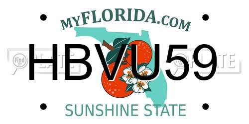 HBVU59 Florida License Plate