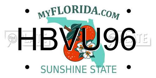 HBVU96 Florida License Plate