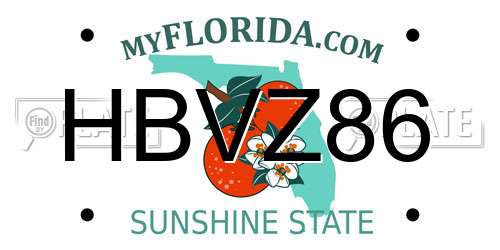 HBVZ86 Florida License Plate