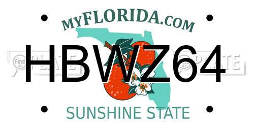 HBWZ64 Florida License Plate
