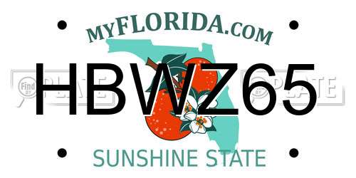 HBWZ65 Florida License Plate