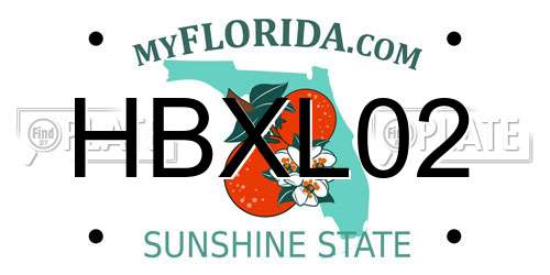HBXL02 Florida License Plate