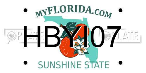 HBYI07 Florida License Plate