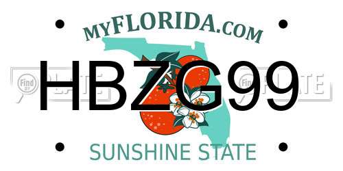 HBZG99 Florida License Plate
