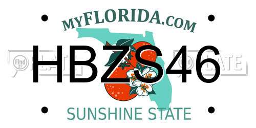 HBZS46 Florida License Plate