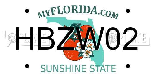 HBZW02 Florida License Plate