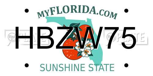 HBZW75 Florida License Plate