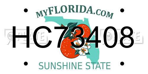 HC73408 Florida License Plate