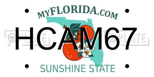 HCAM67 Florida License Plate