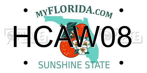 HCAW08 Florida License Plate
