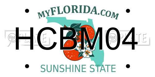 HCBM04 Florida License Plate