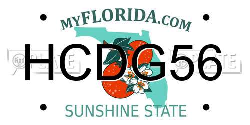 HCDG56 Florida License Plate