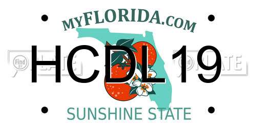 HCDL19 Florida License Plate