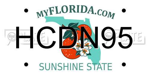 HCDN95 Florida License Plate