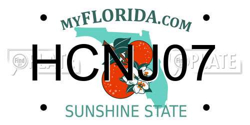 HCNJ07 Florida License Plate