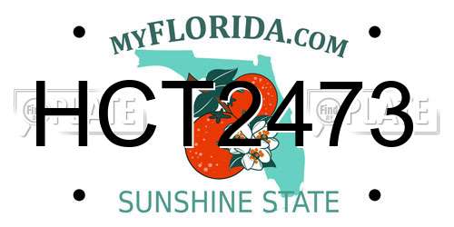 HCT2473 Florida License Plate