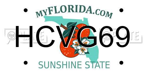 HCVG69 Florida License Plate