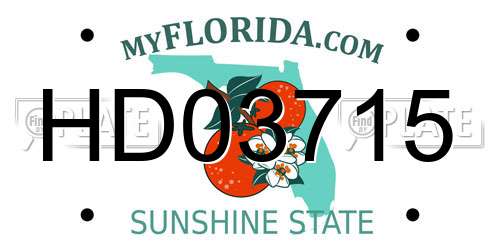HD03715 Florida License Plate