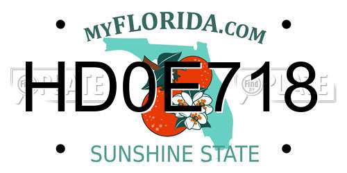 HD0E718 Florida License Plate