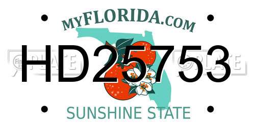 HD25753 Florida License Plate