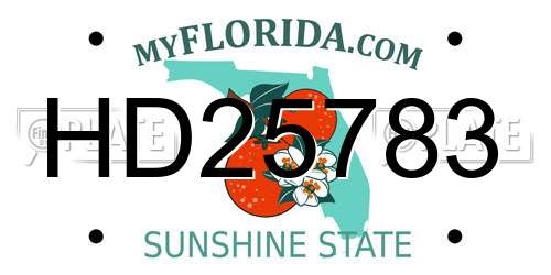 HD25783 Florida License Plate