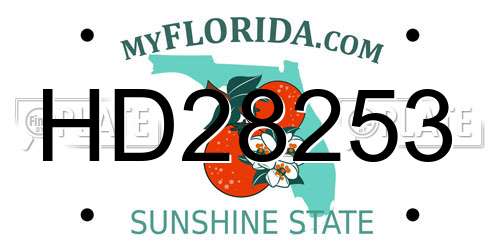 HD28253 Florida License Plate