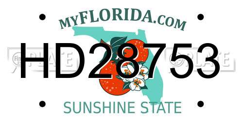 HD28753 Florida License Plate
