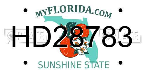 HD28783 Florida License Plate