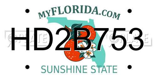 HD2B753 Florida License Plate