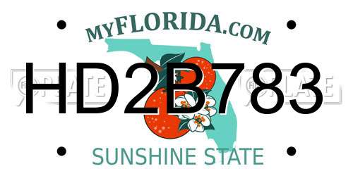 HD2B783 Florida License Plate