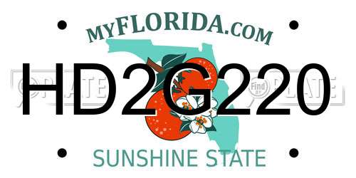 HD2G220 Florida License Plate