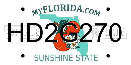 HD2G270 Florida License Plate