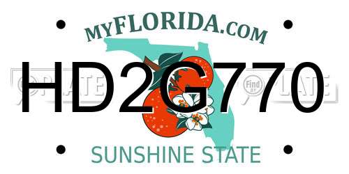 HD2G770 Florida License Plate